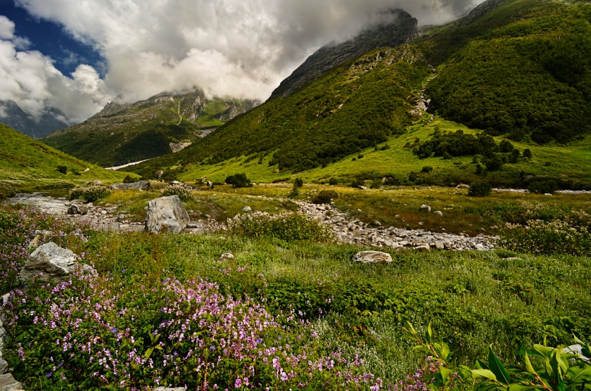 Valley of Flowers2